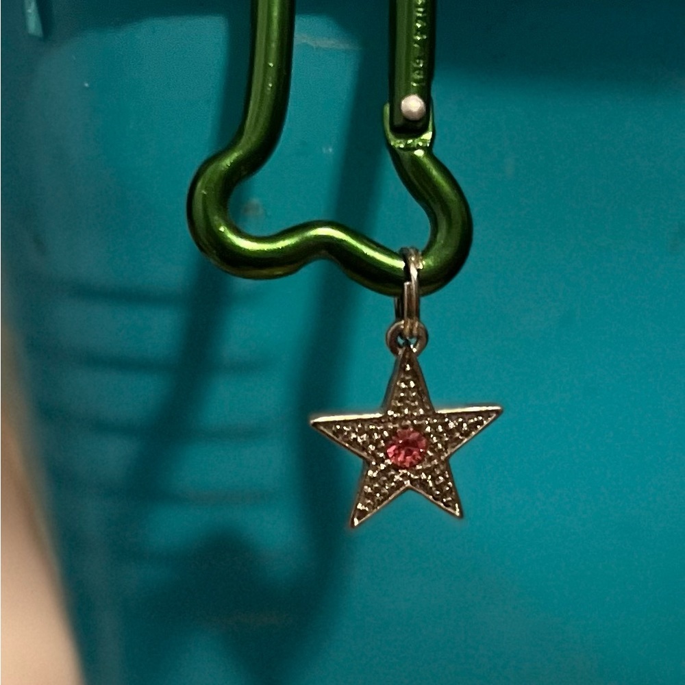 Star dog collar charm